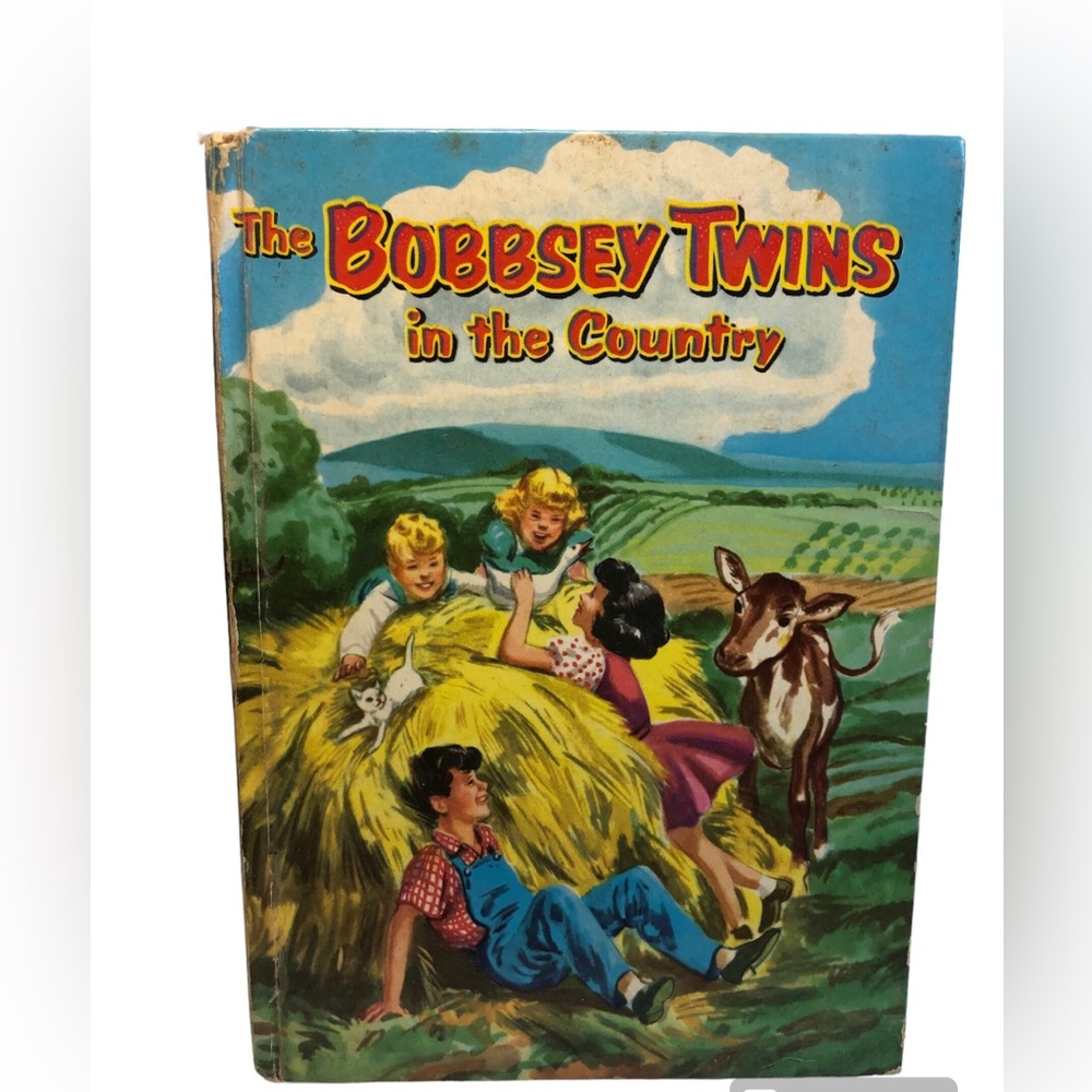 Vintage 1960s The Bobbsey Twins in the Country  Whitman publishing